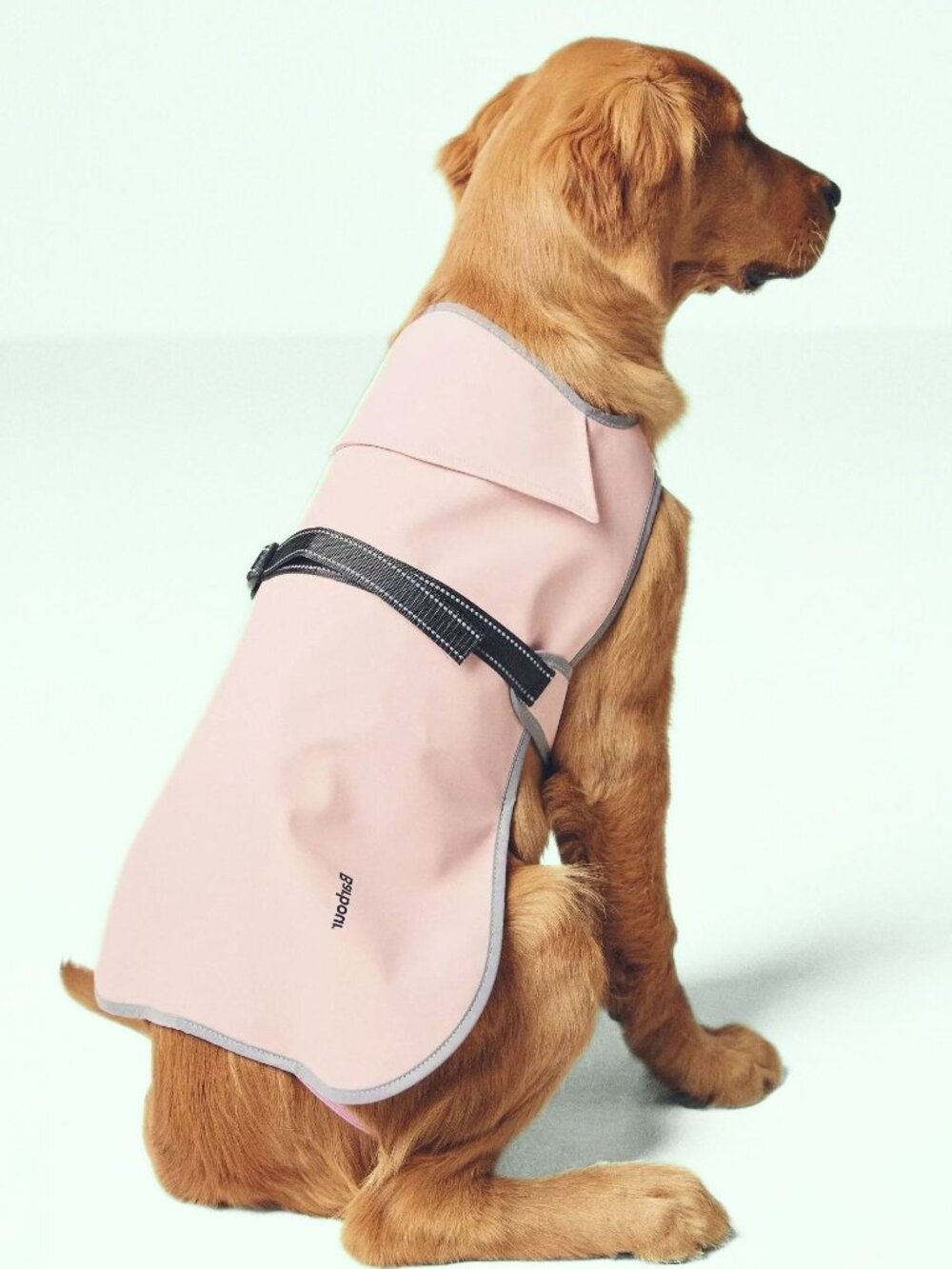 Barbour Evie Waterproof Dog Coat L Large